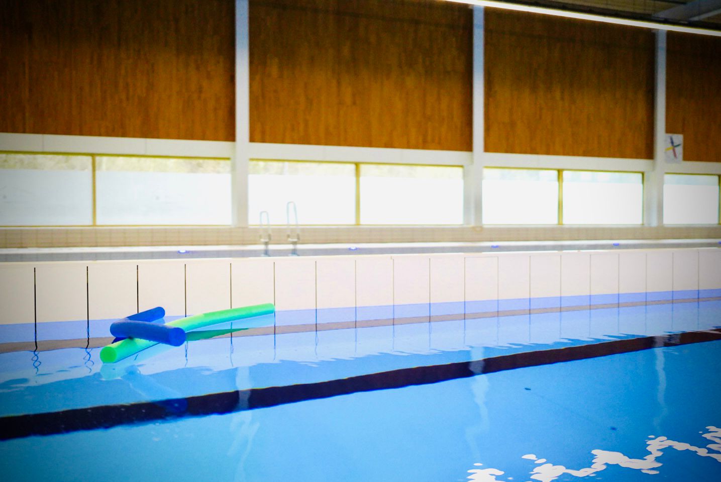Schwimmschule Luth Logo